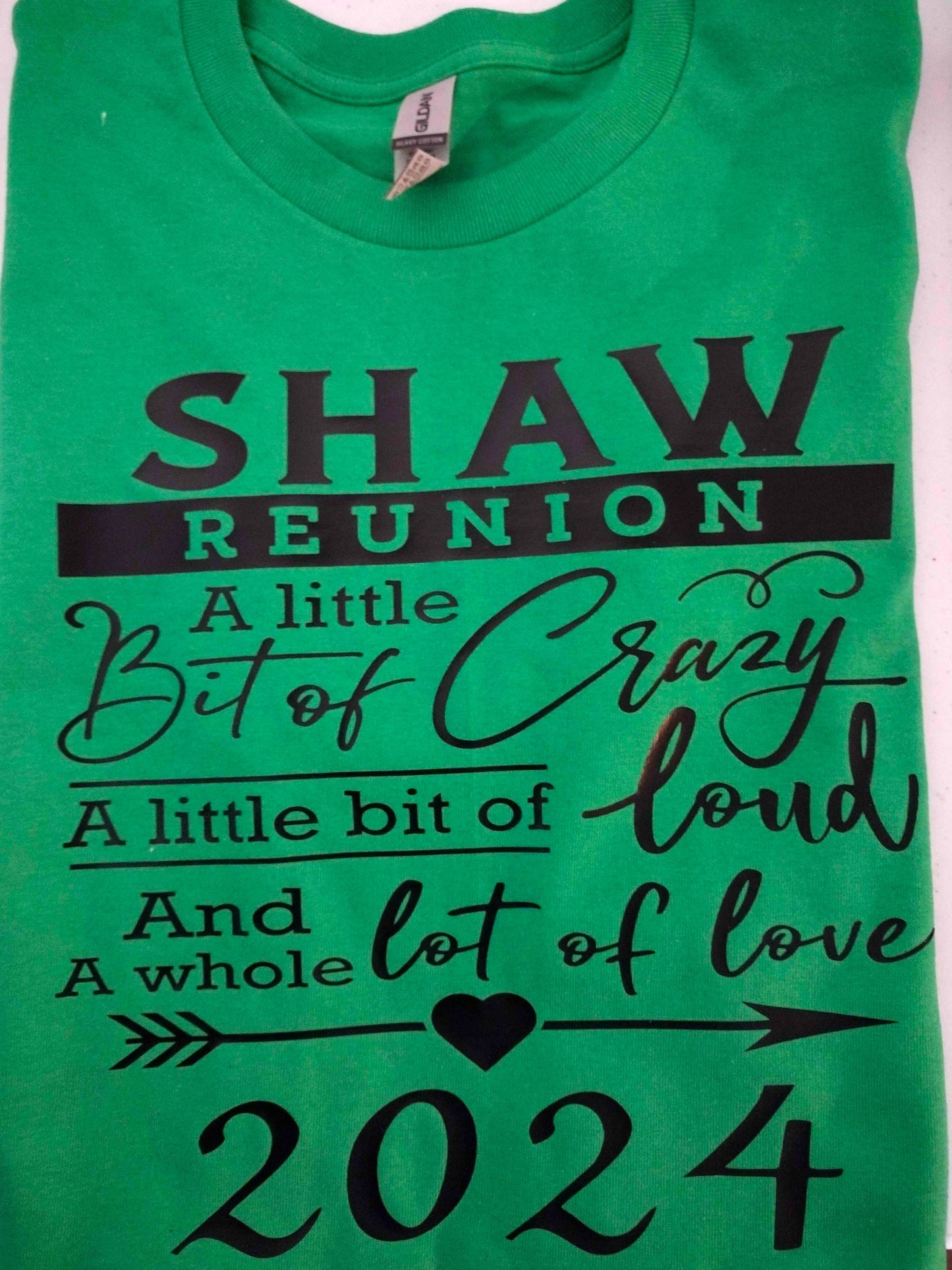 Family Reunion T-Shirt Crazy,Loud,Love